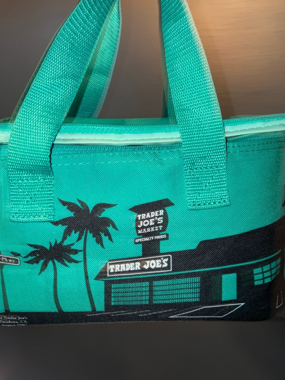 Trader Joe's Teal Insulated LUNCH Bag